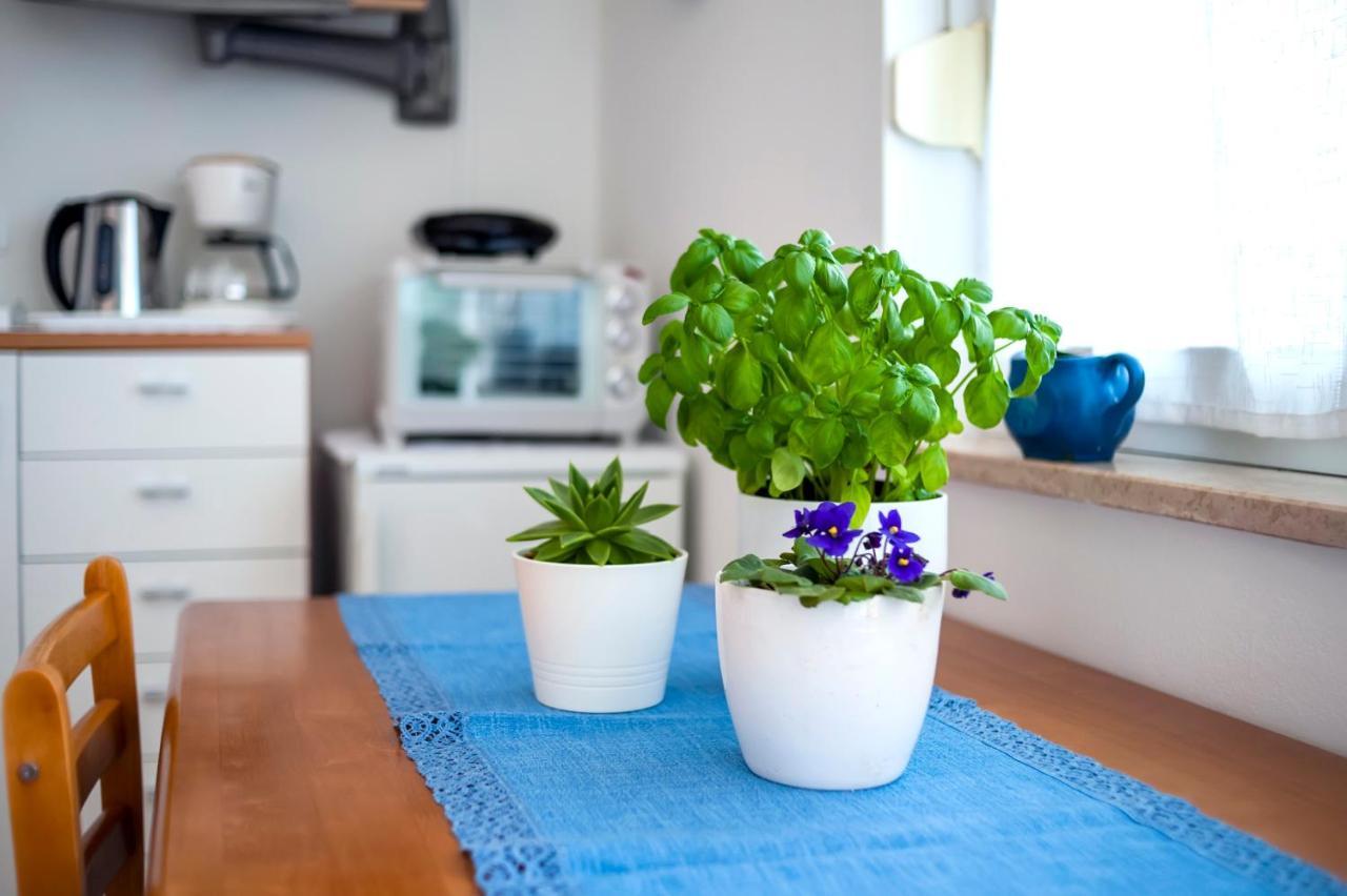 Banko Apartments Rovinj Dış mekan fotoğraf